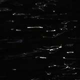 夜の水面の写真